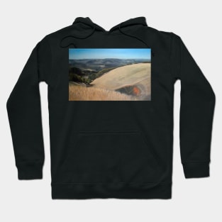 Mount Compass Oil painting by Avril Thomas - Adelaide Artist - South Australian Artist Hoodie
